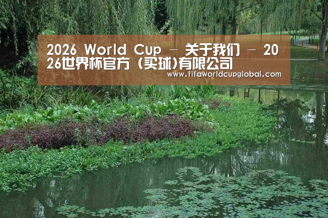 案例展示一(图1)