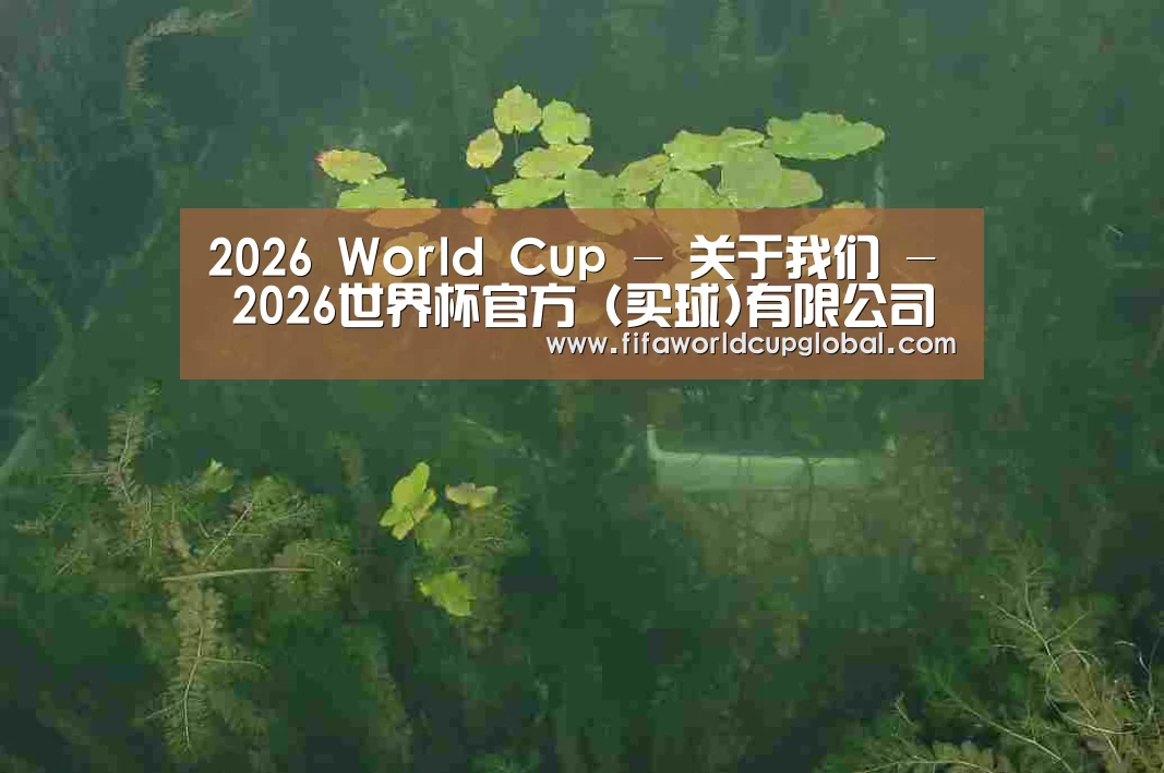 案例展示三(图1)
