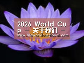 产品名称六