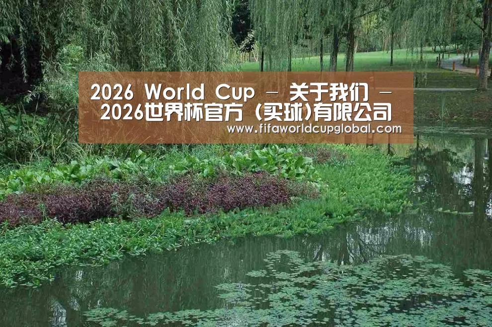 案例展示一