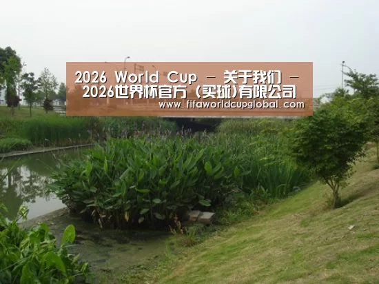 案例展示四