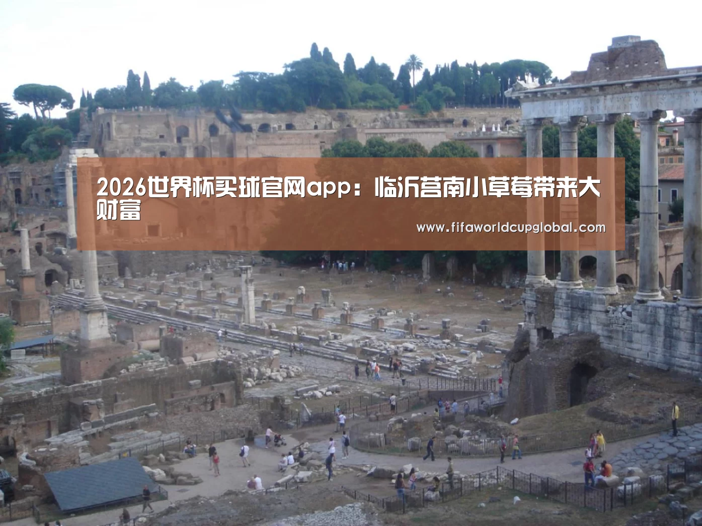 2026世界杯买球官网app:临沂莒南小草莓带来大财富(图3) 2026世界杯买球官网app下载地址