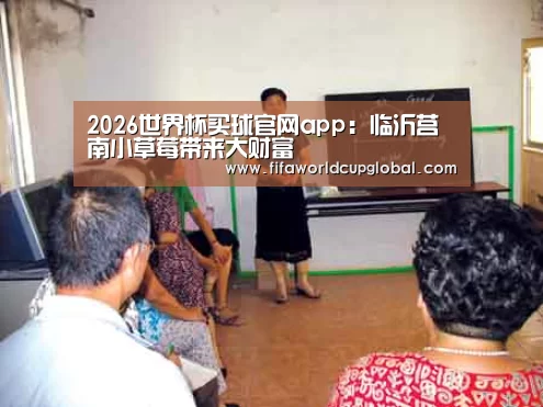 2026世界杯买球官网app:临沂莒南小草莓带来大财富(图1) 2026世界杯买球官网