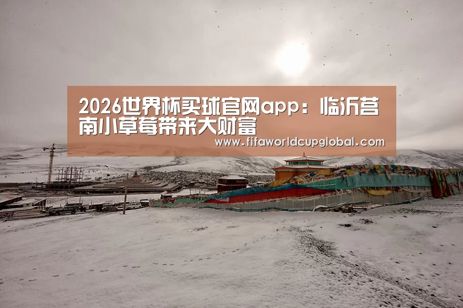 2026世界杯买球官网app:临沂莒南小草莓带来大财富(图2) 2026世界杯买球官网app