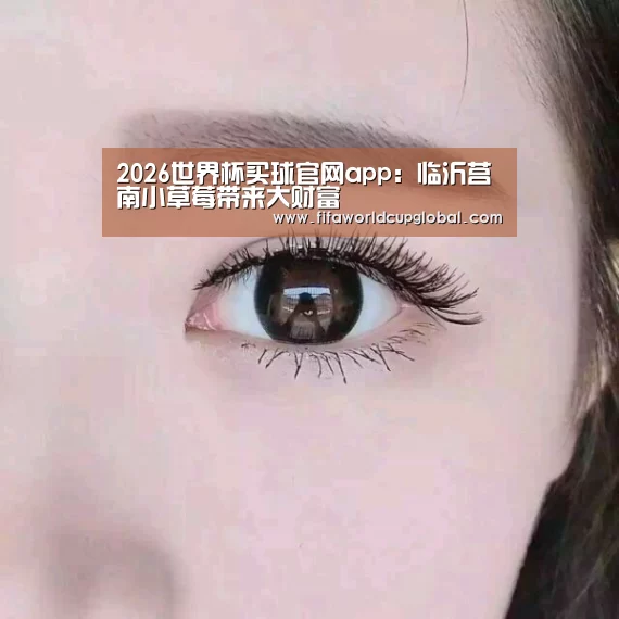 2026世界杯买球官网app:临沂莒南小草莓带来大财富(图4) 2026世界杯买球官网app