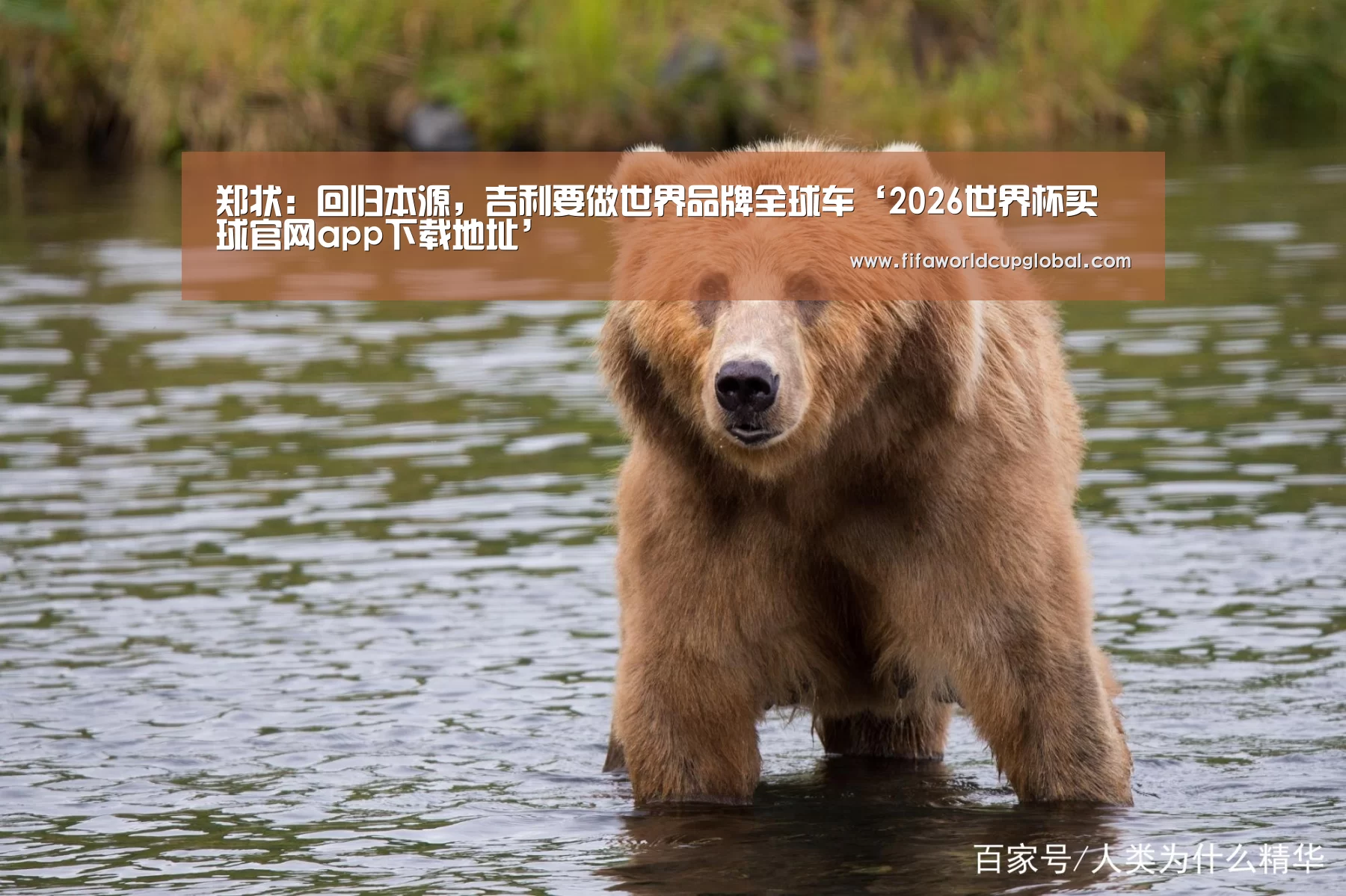 郑状:回归本源,吉利要做世界品牌全球车‘2026世界杯买球官网app下载地址’(图2) 2026世界杯买球官网app