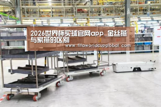 2026世界杯买球官网app_金丝燕与家燕的区别(图4) 2026世界杯买球官网app下载地址