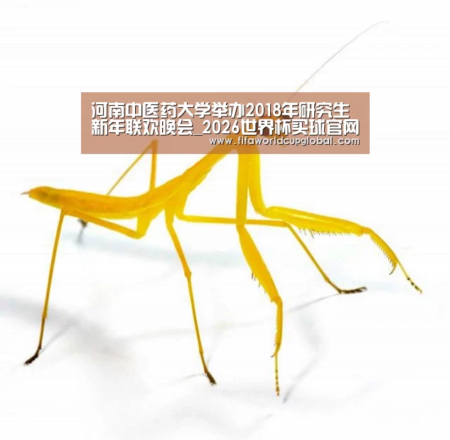 2026世界杯买球官网app
